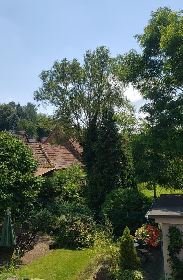 A La Petite Fontaine-plain Pied-maison Alsacienne Renovee Avec Passion-4 Pers-4nuitees Minimum Langensoultzbach