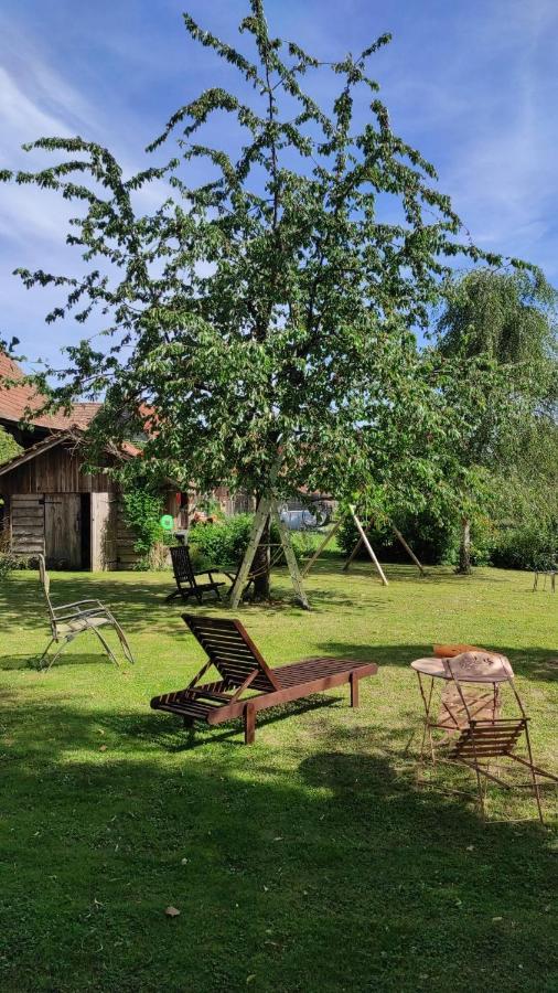 A La Petite Fontaine-plain Pied-maison Alsacienne Renovee Avec Passion-4 Pers-4nuitees Minimum Apartment *